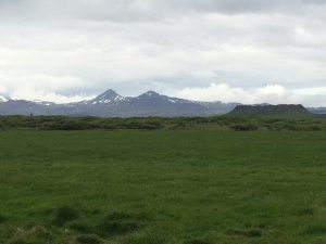 IMG_9103