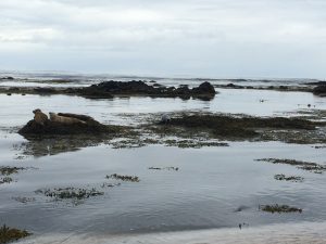 IMG_9134