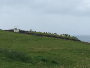 IMG_9167