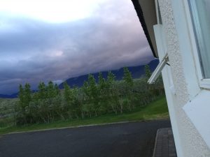 IMG_9346