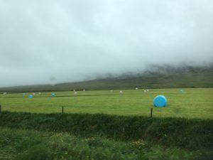 IMG_9358