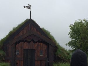 IMG_9368