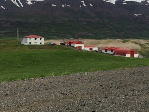 IMG_9403