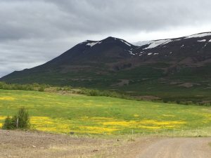 IMG_9409