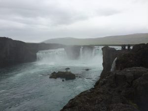 IMG_9464