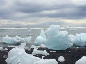 IMG_9600