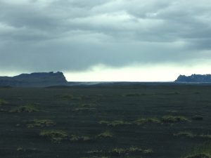 IMG_9649