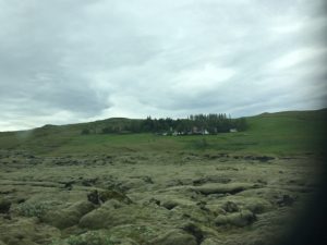 IMG_9671