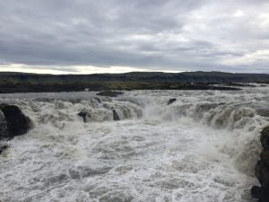 IMG_9673