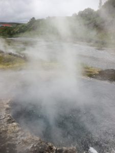 IMG_9719