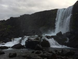 IMG_9726