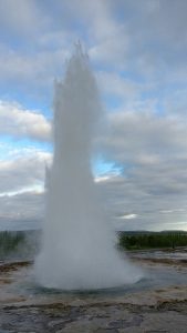 IMG_9746